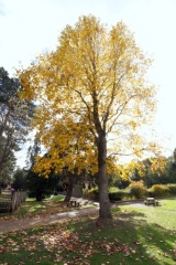 Sywell Country Park